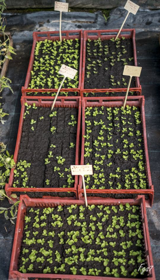 Image appuyant le texte