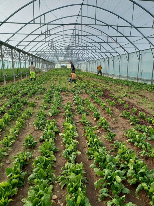 Image appuyant le texte