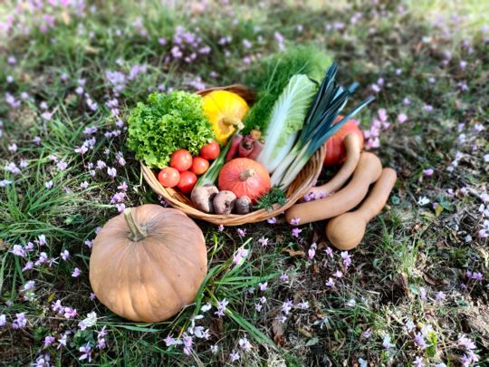 Image appuyant le texte