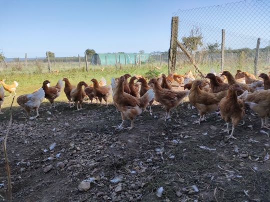 Image appuyant le texte