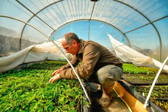 Image appuyant le texte